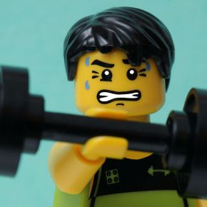 So You Survived The Apocalypse…