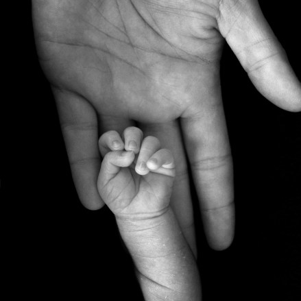 Photo credit: Insight Imaging: John A Ryan Photography / Foter / CC BY-NC-SA