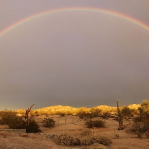 We Stop For Rainbows: Visualize Your Best 2013