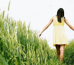 Healing Naturally: Going Gluten&nbsp;Free